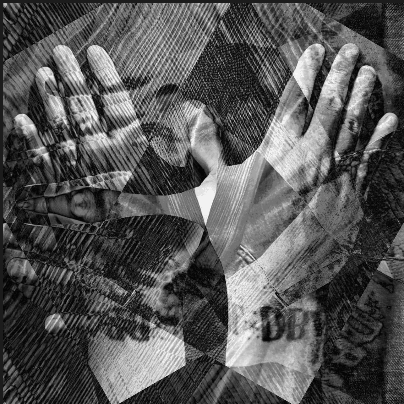 Ravensara - Book Release